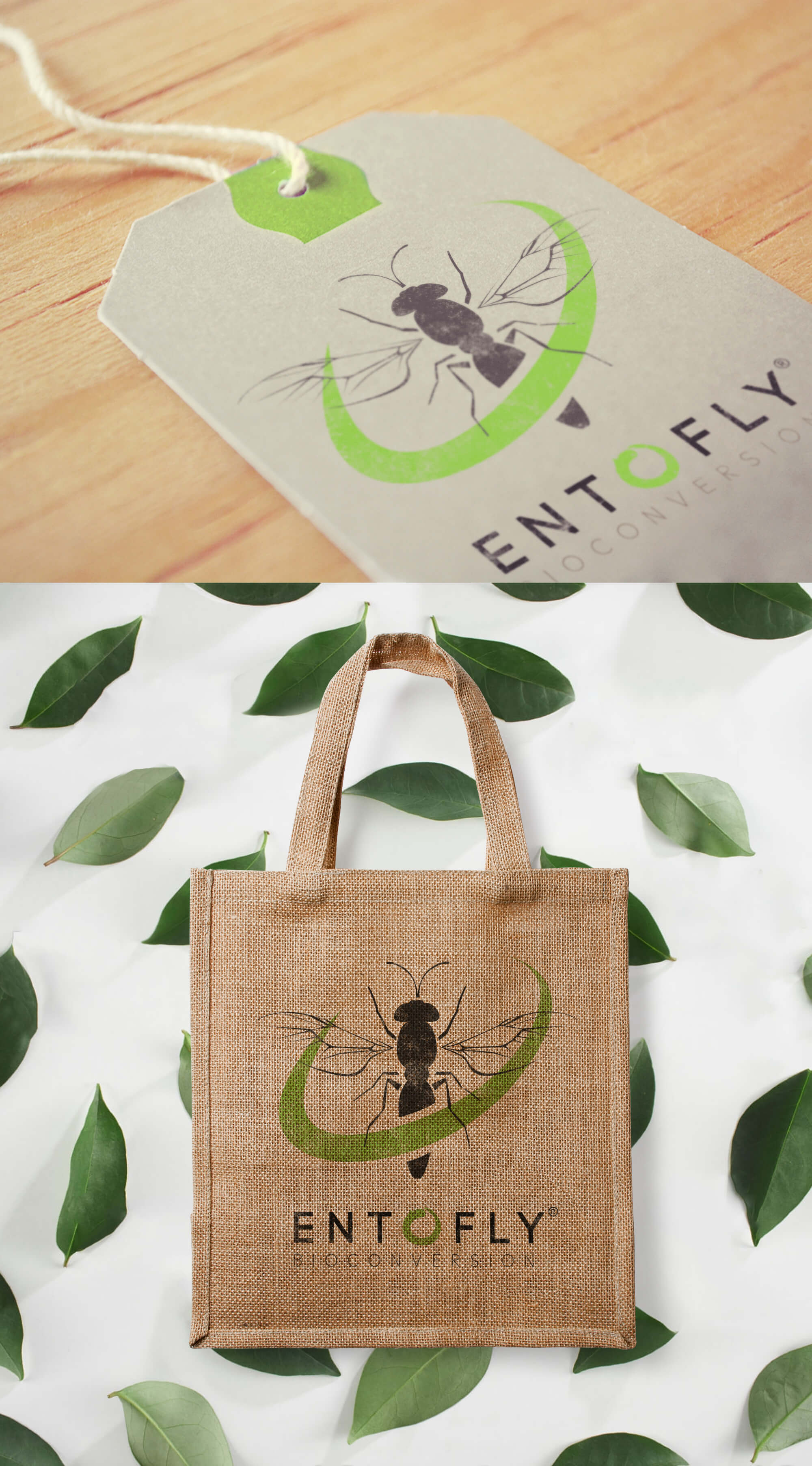 showcase-entofly